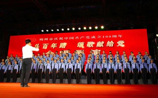 了解孕期吃什么食物好知识星球,深入探索精彩世界
